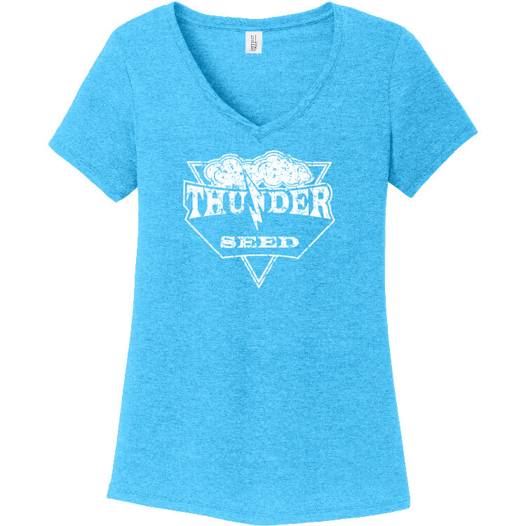 TSUS202. Ladies' V-Neck Tee