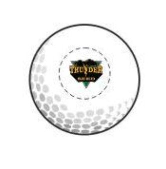 TSUS421. Titleist Velocity Golf Balls