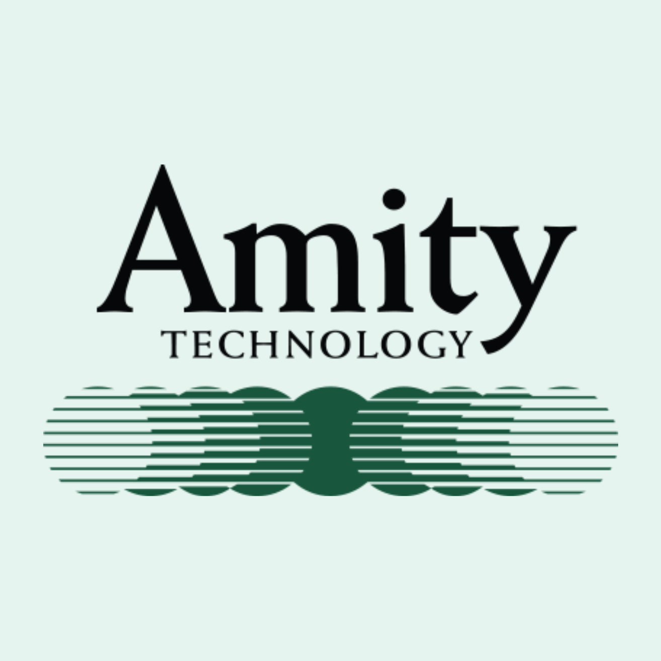 Amity Technology