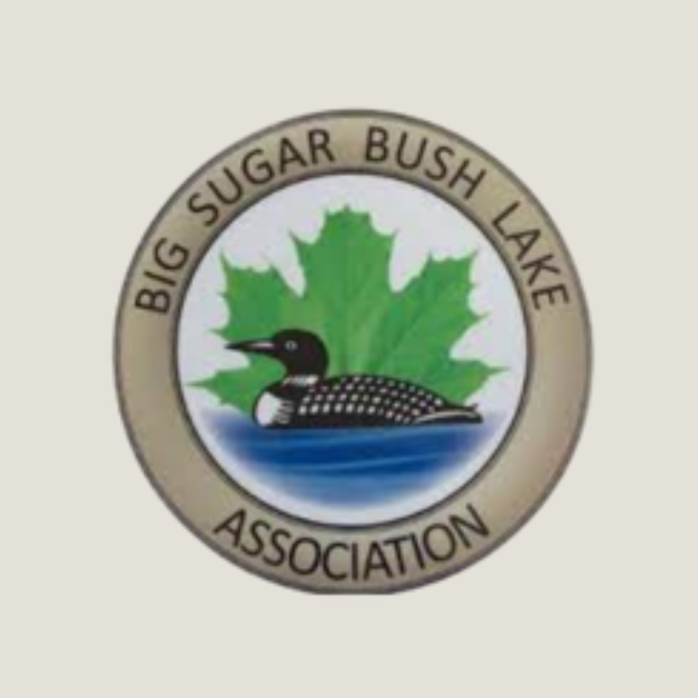 Big Sugar Bush Lake Store