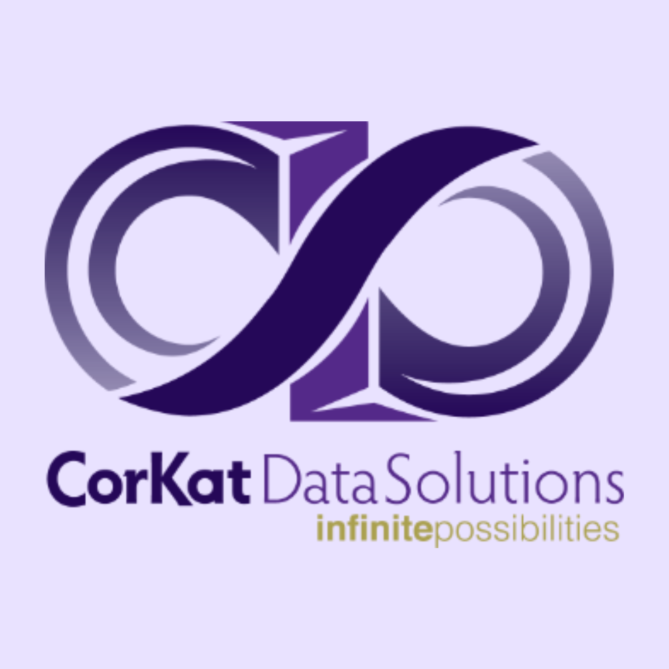 Corkat Data Solutions