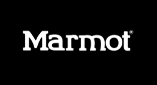 logo 9