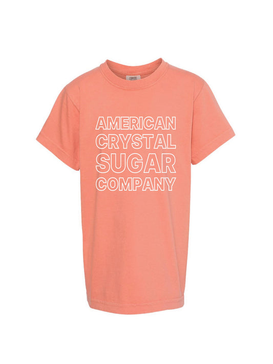 ACS408. Comfort Colors Youth Garment-Dyed Heavyweight T-shirt
