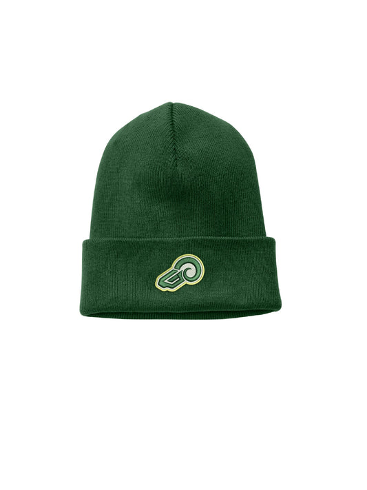 TG501. Nike Team Gorge Green Cuffed Beanie