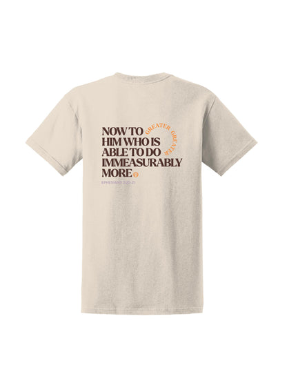 TC301. Gildan® Ultra Cotton® 100% US Cotton T-Shirt