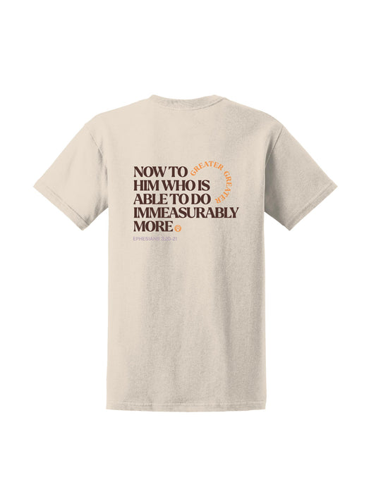 TC301. Gildan® Ultra Cotton® 100% US Cotton T-Shirt