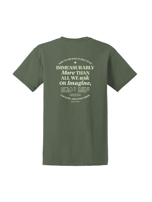 TC302. Gildan® Ultra Cotton® 100% US Cotton T-Shirt