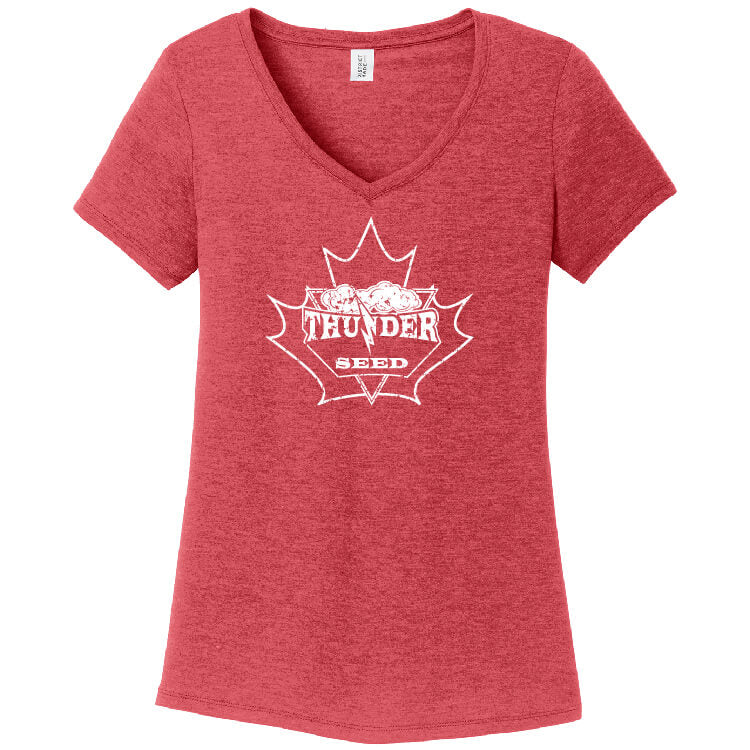 TSCA202. Ladies' V-Neck Tee