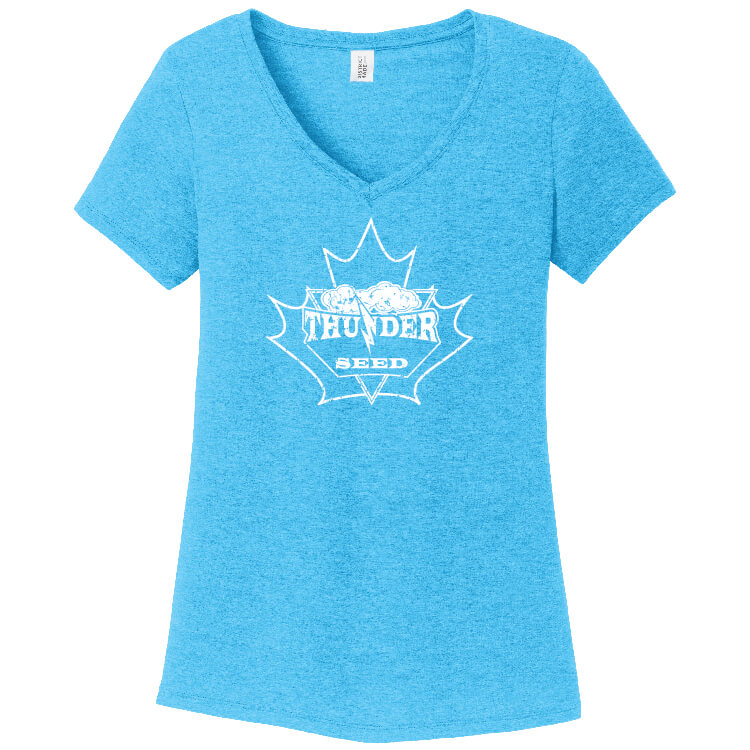 TSCA202. Ladies' V-Neck Tee