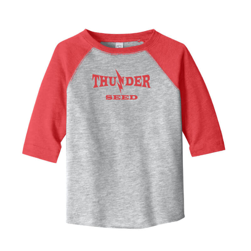 TSUS301. Toddler Baseball Jersey Tee