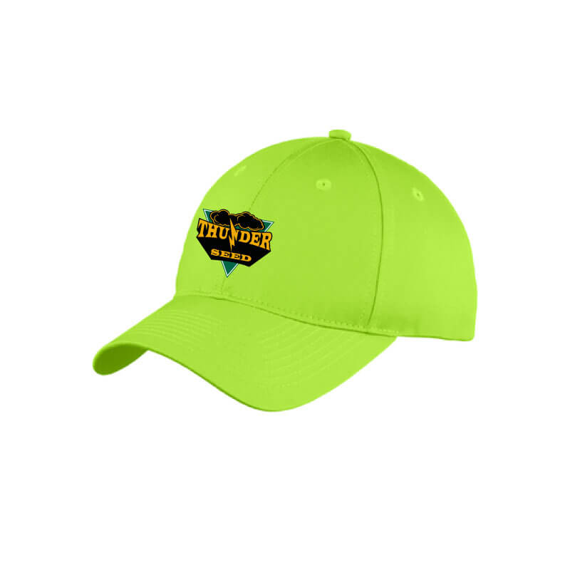 TSUS302. Youth 6-Panel Unstructured Twill Cap