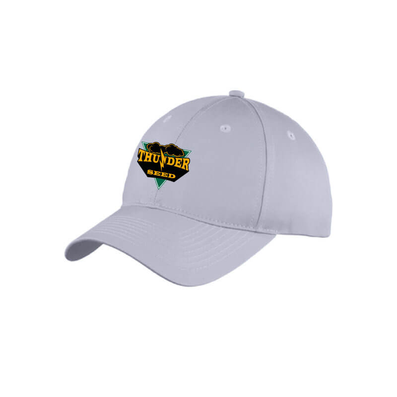 TSUS302. Youth 6-Panel Unstructured Twill Cap