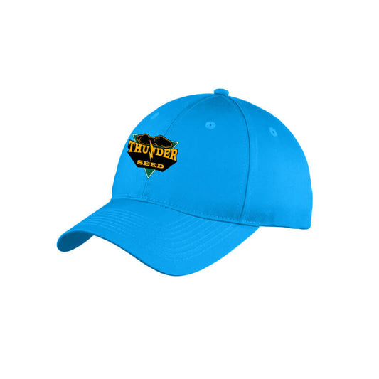 TSUS302. Youth 6-Panel Unstructured Twill Cap