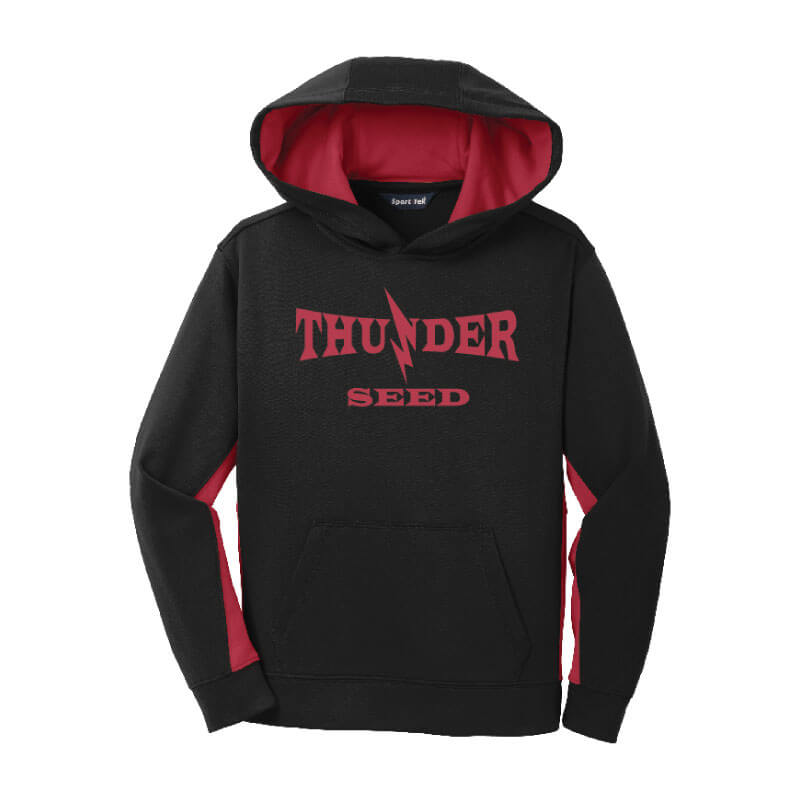 TSUS303. Youth Fleece Colorblock Hoodie