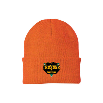 TSUS400. Knit Cap