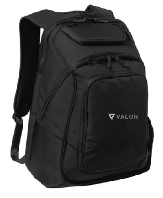 VC410. Port Authority Exec Backpack