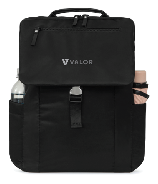 VC412. Carly Computer Backpack